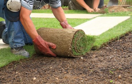 Gartenbau Bad Rappenau Rollrasen verlegen