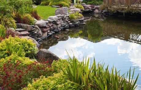 Gartenbau Bad Rappenau Gartenteich anlegen