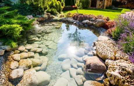 Teich anlegen Gartenbau Bad Rappenau